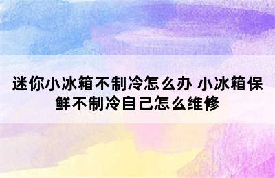 迷你小冰箱不制冷怎么办 小冰箱保鲜不制冷自己怎么维修